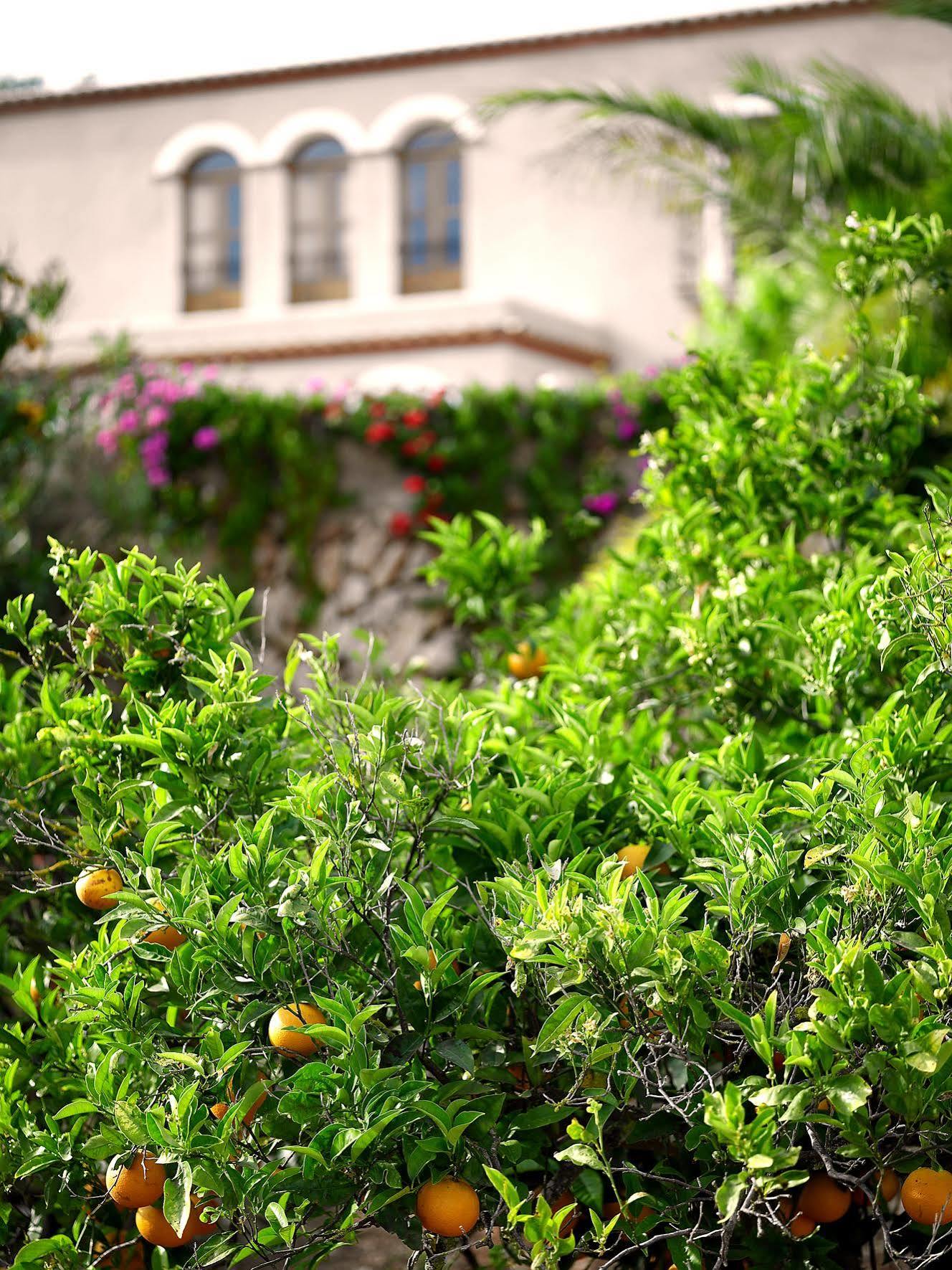 Agroturisme Can Planells Sant Miquel De Balansat Exterior foto